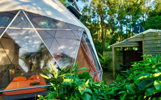 Bubble Dome Village- Glamping