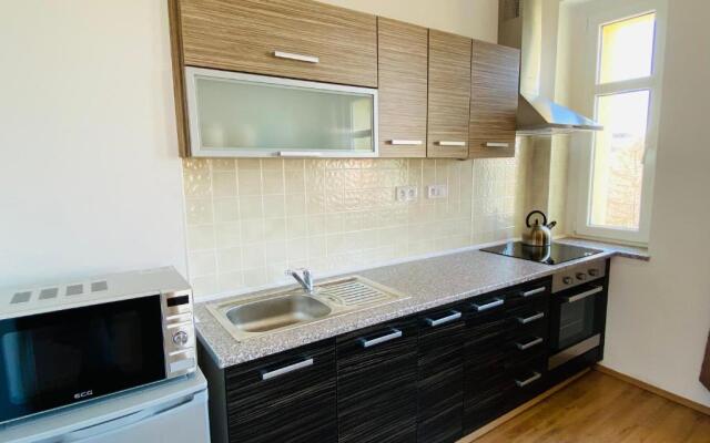 Apartmán Na Křížku 2+kk, Skiareál Klínovec 10minut
