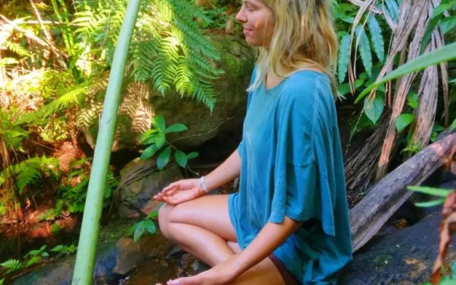 Rainforest Nature House