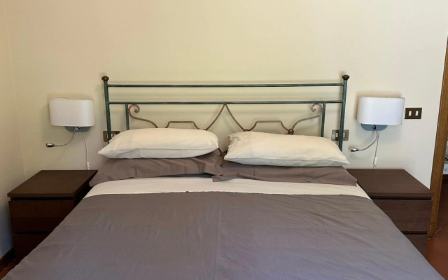 The Grapevine by MANVI