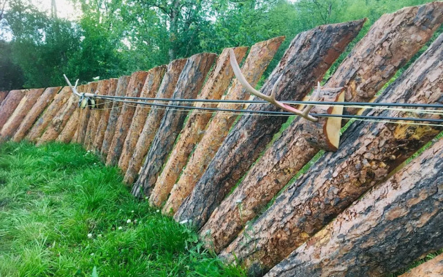 Wild Caribou Wilderness Cabin