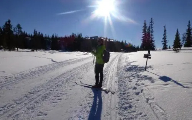 Nystølen Hyttegrend