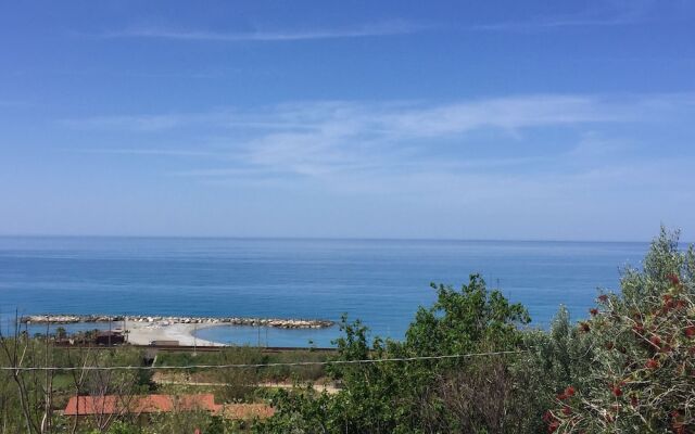 B&B Colle degli Ulivi