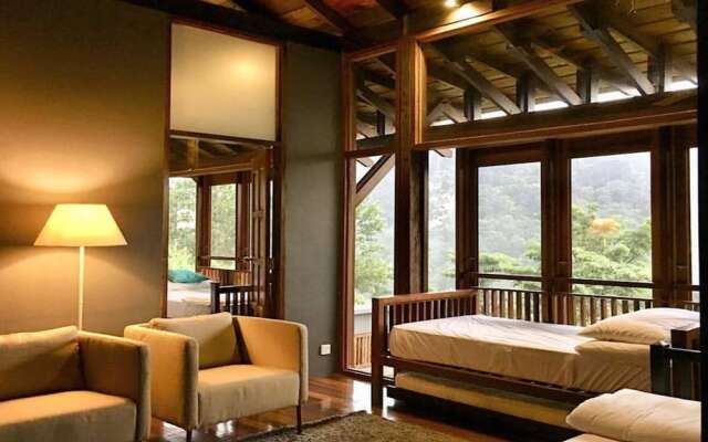 The Shorea