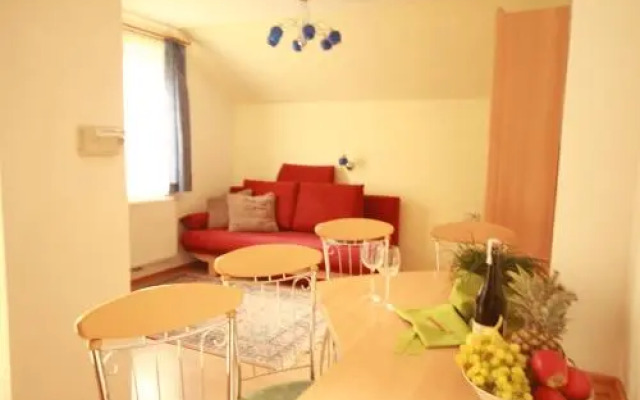 Ski In/Ski Out Appartements Tritscher