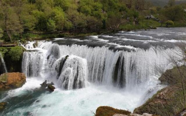 Lika Dream - Obradovic