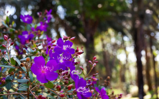 StayVista at Crystal Homestay