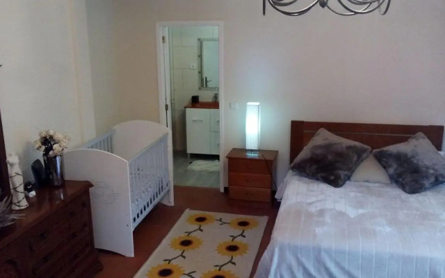 Monumental Palace Apartment