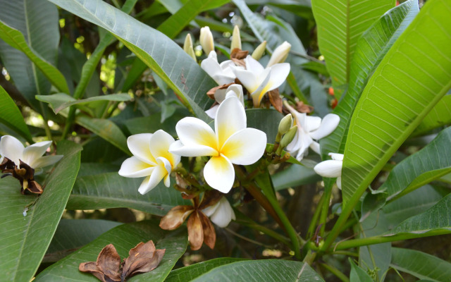 The Researchers Rest