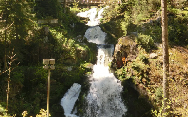 Serene Apartment in Hofstetten with garden amidst luxury of nature