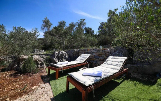 Robinson house''La Vida''