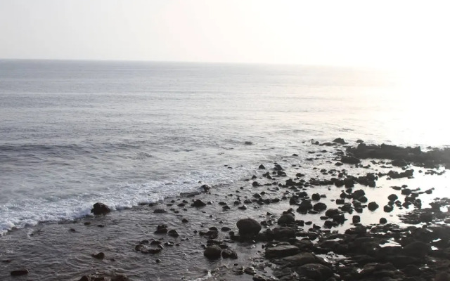 Surfeur Paradise