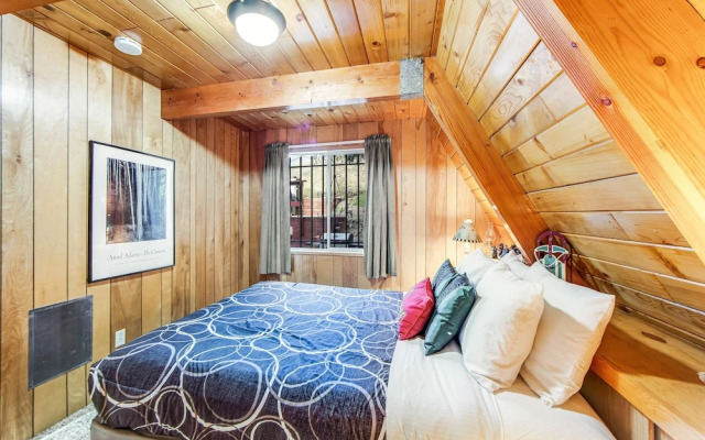 Black Diamond Vista #653