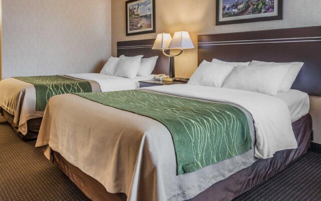 Comfort Inn On The Bay