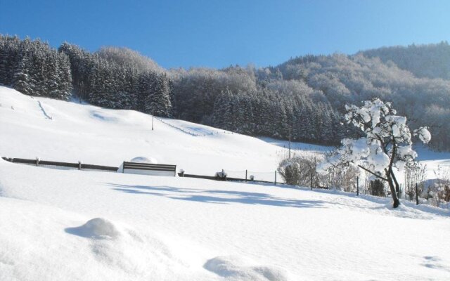 Alpenwiesen