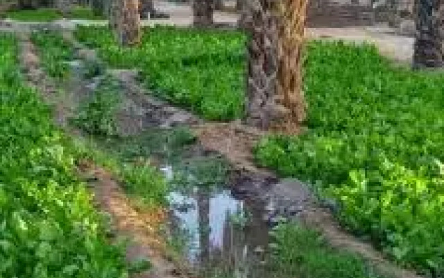 Sarra Hotel