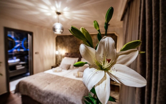 Luxury Rooms VINDEMIÆ