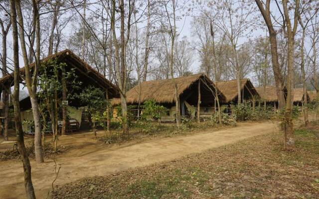 Tigertops Elephant Camp