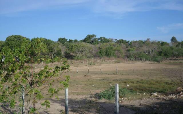 Crazy Peacock Holiday Resort