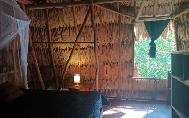 Alice Guesthouse