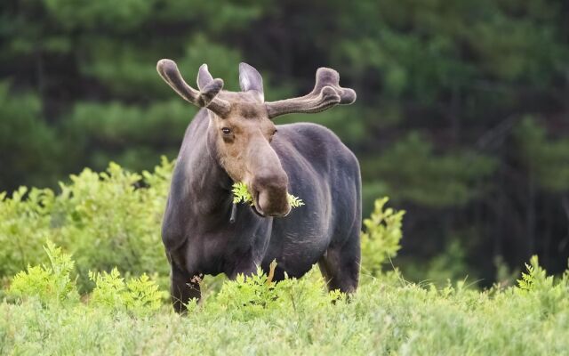 Winterstar Townhome 3 Bedrooms 3.5 Bathrooms Townhouse