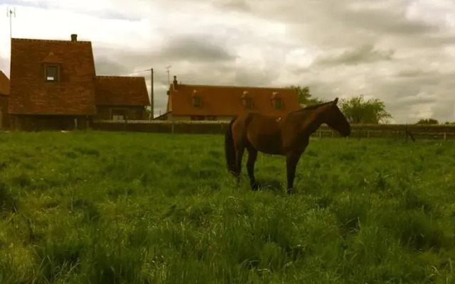 Domaine de Torrière