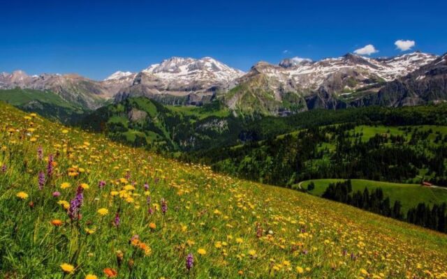 Apartment Teleboy Lenk