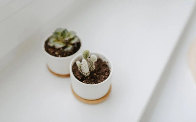 Villa Fresena Bude 9