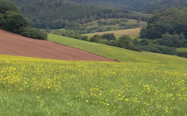 Dog-friendly Holiday Home in the Knull