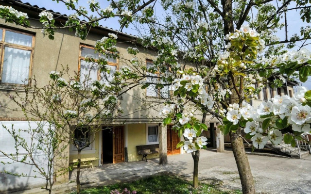 Hotel Manana