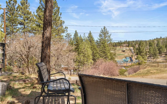 StoneHauz Cabin built in 1926