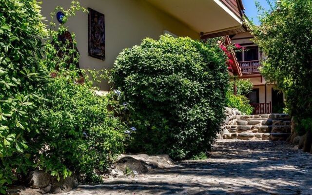 Palmetto Resort Hotel