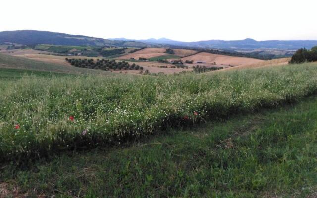 Agriturismo Uliveto Gretacci