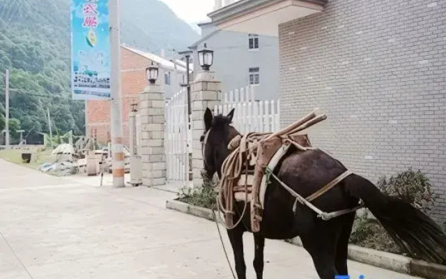 Shuanglin Bozai Farmer House No.5 Villa