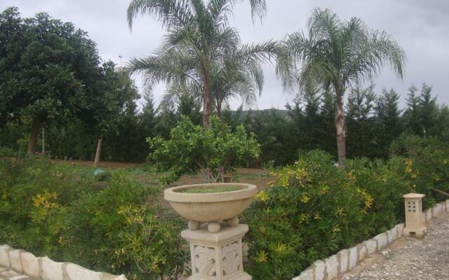 Villa Delle Palme Delfina