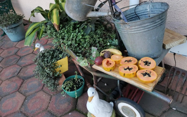 JoThams Bed & Breakfast or Self-catering