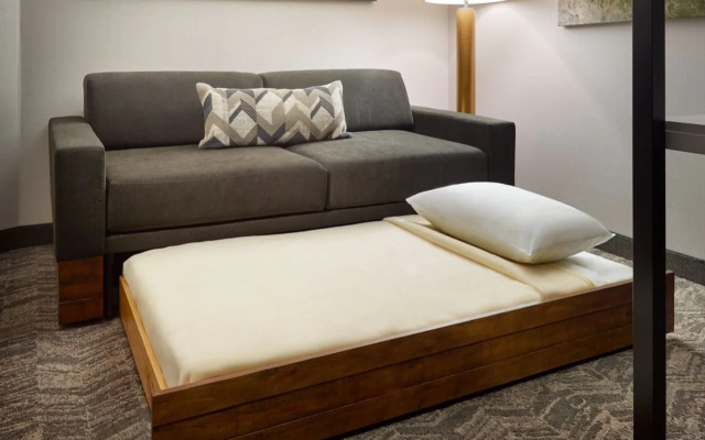 SpringHill Suites by Marriott Arlington TN