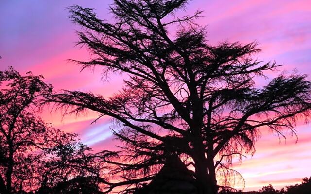 Chateau de Tauzies, The Originals Relais