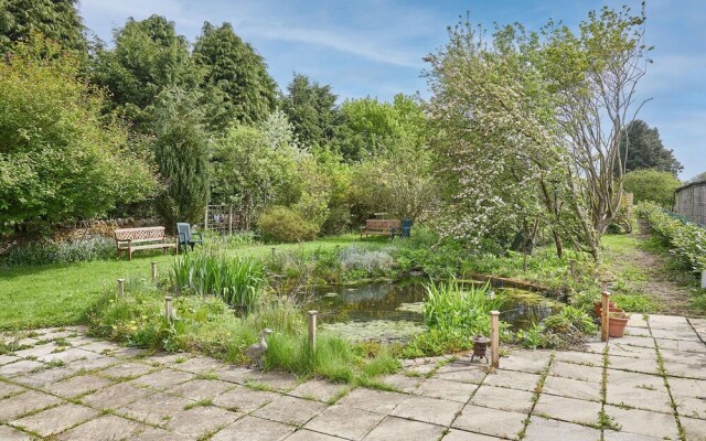 Host Stay Owl in Newton-on-rawcliffe