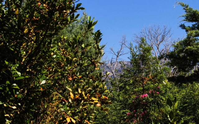 Nireas Resort Corfu