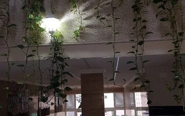 Owner Solidarity - Reduction of Prices - 1