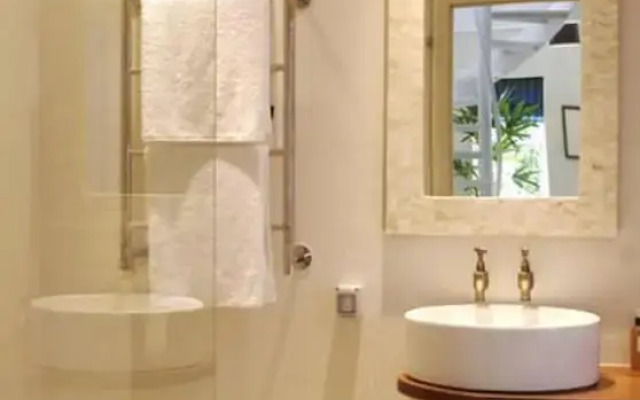 Aloe Corner Franschhoek