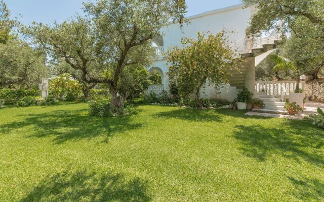 Zante Ruassi Studios