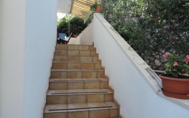 Apartmani Lavanda