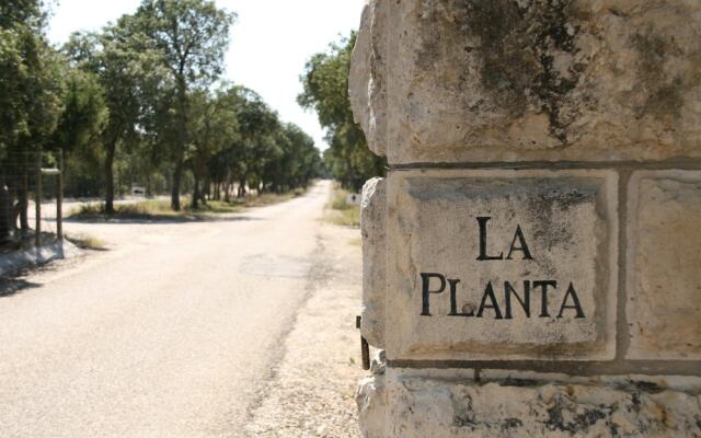 La Casita De La Planta