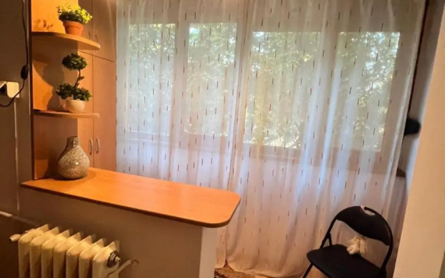 Miha modern and central apartament Malul Mureșului