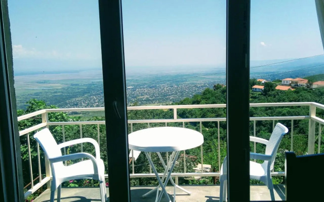 Guest House Alazani Valley