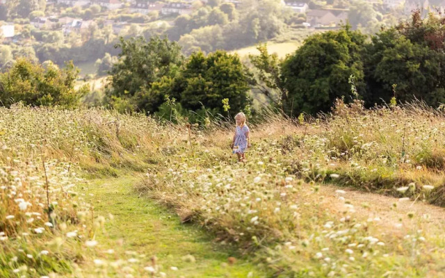 Luxury Glamping - Charlcombe Valley Orchards Bath