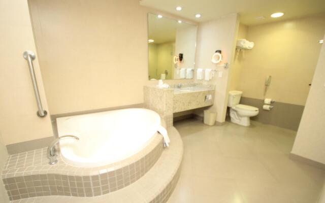Crowne Plaza Leon by IHG