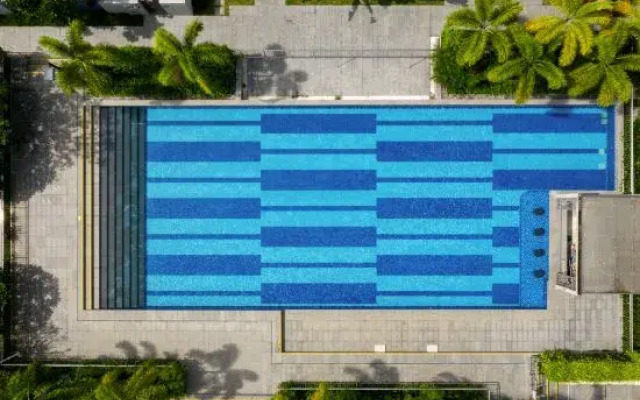 Having Neighbors Homestay